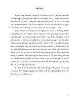 Tiểu luận học thuyết của lênin về tkqđ quan điểm của chủ nghĩa mác   lênin về thời kì quá độ lên chủ nghĩa xã hội