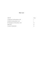 Tổng quan về vật liệu polymer y sinhpolymer y sinh là vật liệu polymer (có nguồn gốc thiên nhiên, nhân tạo, hoặc tổng hợp)