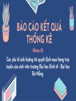 Slide Báo cáo thống kê   Các yếu tố ảnh hưởng đến quyết định mua hàng trực tuyến