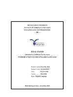 FINAL PAPER submitted as a fulfilment for the course INTRODUCTION TO THE ENGLISH LANGUAGE