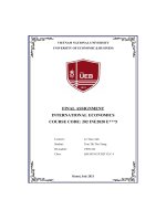 FINAL ASSIGNMENT INTERNATIONAL ECONOMICS COURSE CODE 202 INE2020 e5