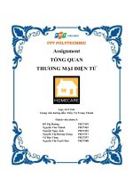 Assignment TỔNG QUAN THƯƠNG mại điện tử  n shopee