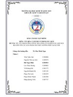 YẾU TỐ ẢNH HƯỞNG TỚI SỰ HÀI LÒNG CỦA KHÁCH DU LỊCH NỘI ĐỊA ĐỐI VỚI CÁC