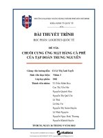 Chuỗi cung ứng mặt hàng cà phê của tàp đoàn trung nguyên 2022