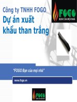 Thuyết trình Đầu tư dự án Công ty TNHH FOGO Dự án xuất khẩu than trắng www.fogo.vn