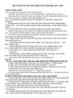 Câu : Thế Nào Là Hành Động Nói