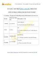 Từ vựng   ngữ pháp tiếng anh lớp 4 unit 19 what animal do you want to see?   vndoc com