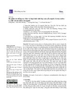 Đa phân tử chống oxy hóa và hoạt tính sinh học của yến mạch (Avena sativa L.) đối với sức khỏe con người