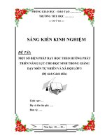 Một số biện pháp dạy học theo hướng phát triển năng lực cho học sinh trong giảng dạy môn tự nhiên và xã hội lớp 3 (bộ sách cánh diều)