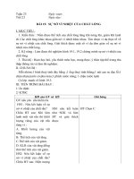 Ngµy So¹N:05/02/09