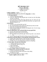 Đề Thi Học Kì I