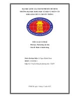 TIỂU LUẬN CUỐI KÌ Môn học Marketing căn bản Chủ đề Hành vi khách hàng