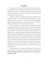 Tiểu luận cao học, nội dung đường lối đối ngoại của đảng cộng sản việt nam thời kỳ từ 1986 – 2004