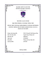 Tiểu Luận Pchtv.pdf