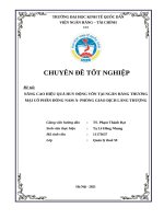 nâng cao hiệu quả huy động vốn tại ngân hàng tmcp đông nam á   pgd láng thượng