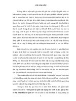 Tiểu luận triết học, mỗi quan hệ xây dựng độc lập tự chủ và hội nhập kinh tế quốc tế