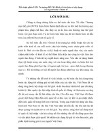 Tieu luan phan 8 hcm, tác động của toàn cầu hóa đối với sự phát triển văn hóa và con người việt nam trong giai đoạn hiện nay