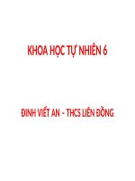 Powerpoint Presentation