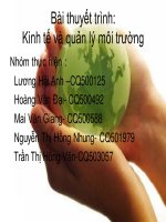 Bài thuyết trình: Kinh tế và quản lý môi trường Chủ đề : ô nhiễm công nghiệp thép ở Việt Nam