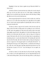 Câu hỏi và trả lời môn xã hội học chính trị