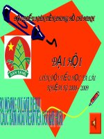 Đội Thiếu Niên Tiền Phong Hồ Chí Minh