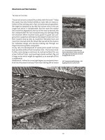 Ebook Wood and wood joints: Building traditions of Europe, Japan and China - Part 2