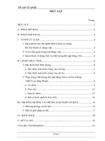 Tieu luan nâng cao chất lượng đội ngũ đảng viên của chi bộ trường thpt lưu hữu phước trong giai đoạn hiện nay