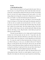 Báo mạng điện tử với việc bảo vệ quyền lợi người tieu dùng, khảo sát chuyên mục bảo vệ người tiêu dùng báo điện tử vtc news từ 62011 – 122011
