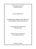 Tóm tắt luận văn Thạc sĩ Quản trị kinh doanh: Giải pháp phát triển nguồn nhân lực tại Bảo hiểm xã hội tỉnh Đắk Lắk