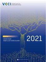 Pháp luật kinh doanh Việt Nam năm 2021: Phấn 1