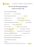 Phiếu bài tập ở nhà tiếng anh lớp 3 trong thời gian nghỉ dịch   ngày 0205   vndoc com