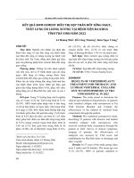 Kết quả bơm cement điều trị xẹp thân đốt sống ngực, thắt lưng do loãng xương tại Bệnh viện Đa khoa tỉnh Trà Vinh năm 2022