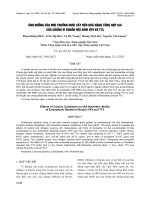 Ảnh hưởng của môi trường nuôi cấy đến khả năng tổng hợp IAA của chủng vi khuẩn nội sinh HY9 và TT3