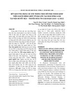 Kết quả ứng dụng các STR trong theo dõi mọc mảnh ghép trên người bệnh ghép tế bào gốc tạo máu đồng loài tại Viện Huyết học – Truyền máu TW giai đoạn 2018 – 6/2022