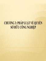 Bài giảng Luật sở hữu trí tuệ - Chương 3: Pháp luật về quyền sở hữu công nghiệp