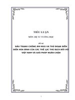 Tiểu luận đấu tranh chống âm mưu và thủ đoạn diễn biến hòa bình của các thế lực thù địch đối với việt nam và giải pháp ngăn chặn