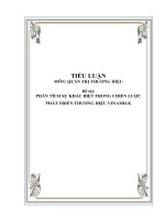 Tiểu luận, phân tích sự khác biệt trong chiến lược phát triển thương hiệu vinamilk