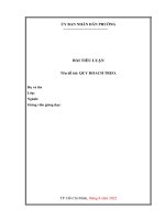 Quy hoạch treo   luận văn báo cáo đồ án tiểu luận trong trường đh