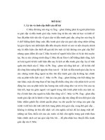 Nội dung chính trị của đấu tranh giai cấp của giai cấp công nhân trong thời kì quá độ lên chủ nghĩa xã hội – lí luận và thực tiễn
