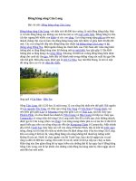 Đồng Bằng Sông Cửu Long