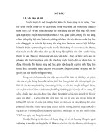Sử dụng hiệu quả các phương tiện tuyên truyền trong bảo tồn và phát huy giá trị văn hóa của dân tộc mường ở huyện ba vì, thành phố hà nội hiện nay