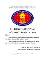 Ưu nhược tính cách người Việt từ tính cộng đồng và tính tự trị; Thành tố hệ thống văn hóa và cho một ví dụ về mối quan hệ giữa chúng