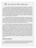 Tài liệu tham khảo   28  qui định về biểu hiện gen