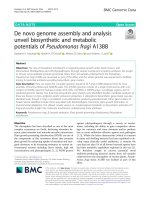 De novo genome assembly and analysis unveil biosynthetic and metabolic potentials of Pseudomonas fragi A13BB