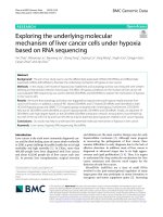 Exploring the underlying molecular mechanism of liver cancer cells under hypoxia based on RNA sequencing