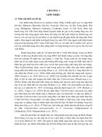 Luận án nghiên cứu bệnh thán thư trên thanh long và biện pháp quản lý tổng hợp