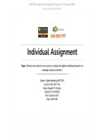 Topic choose one product in one country to analyse the digital marketing channels or a campaign using to promote i