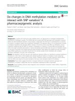 Do changes in DNA methylation mediate or interact with SNP variation? A pharmacoepigenetic analysis