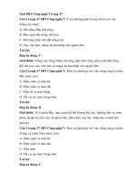 Sách bài tập công nghệ 7 bài 5 (cánh diều) trồng cây rừng