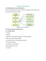 Lý thuyết công nghệ 7 bài 2 (cánh diều) quy trình trồng trọt